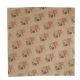 HJ. ANTIGRASA PLATO FUENTE NICANOR 20X20 (1X2000)